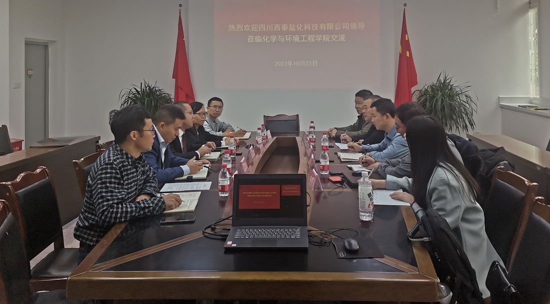 西秦盐化1.jpg